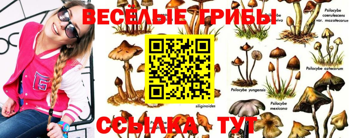 Псилоцибиновые грибы ЛСД Ливны