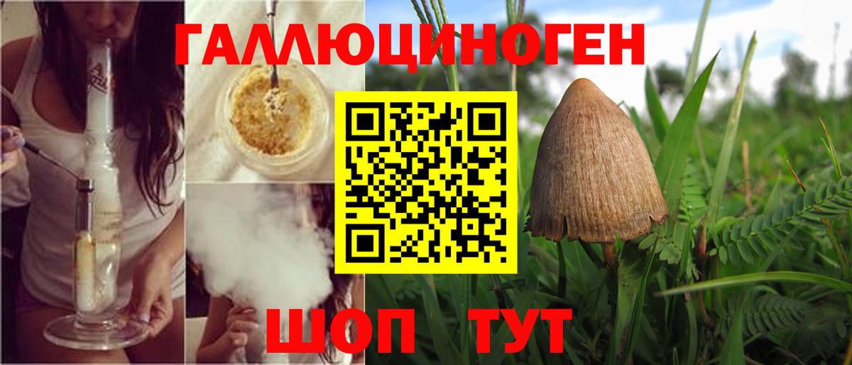 Ливны  Псилоцибиновые грибы Magic Shrooms  как найти закладки  Вход с VPN  Псилоцибиновые грибы GOLDEN TEACHER 